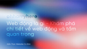 web dong la gi